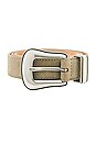 view 3 of 3 Dorsy Belt in Beige
