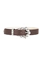 view 1 of 3 Embella Gr Belt in Coffee Bean