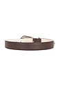 view 2 of 3 Embella Gr Belt in Coffee Bean