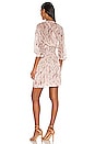 view 3 of 3 Pommie Dress in Pink