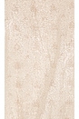 view 4 of 4 Halsey Dress in Nude