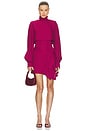 view 1 of 3 Veddy Dress in Raspberry