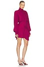 view 2 of 3 Veddy Dress in Raspberry