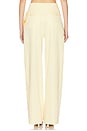 view 4 of 6 Haicha Pant in Light Yellow