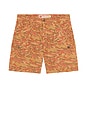 view 4 of 4 Camo Milistate Short in Camo