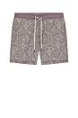 view 5 of 6 BOARDSHORT in Grape