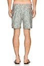 view 3 of 6 BOARDSHORT in Green