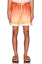 view 3 of 4 Sunset Tubique Shorts in Tangerine