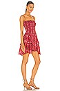 view 3 of 4 Anka Dress in Red
