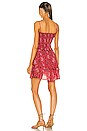 view 4 of 4 Anka Dress in Red