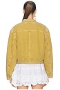 view 5 of 5 CHAQUETA EMALIA in Honey