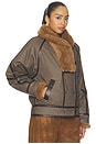 view 4 of 5 Olinka Parka Coat in Brown`