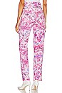 view 3 of 4 Vayoneo Cargo Pant in Mulberry