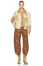 view 5 of 6 Belky Pants in Brown