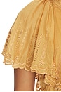 view 5 of 5 Lorna Short Sleeve Top in Caramel