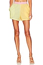 view 1 of 4 The Vacay Short in Sorbae