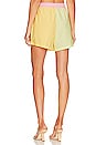 view 3 of 4 The Vacay Short in Sorbae