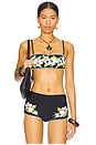view 1 of 4 Bandeau Top in Ulus