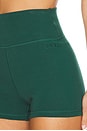 view 6 of 6 Jersey Hot Short in Bistro Green