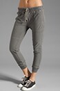 view 1 of 6 Jersey Twill Surplus Pant in Silverfox