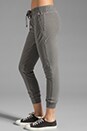 view 2 of 6 Jersey Twill Surplus Pant in Silverfox