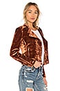 view 2 of 4 Harley Jacket in Amber Crushed