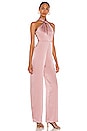 view 2 of 4 Kim Jumpsuit in Dusty Rose