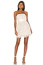 view 1 of 4 Remi Mini Dress in Ivory Multi & Light Ivory