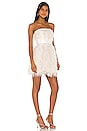 view 2 of 4 Remi Mini Dress in Ivory Multi & Light Ivory