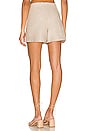 view 3 of 4 Amalia Shorts in Flax