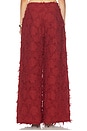 view 5 of 6 Oslo Pant in Sangria