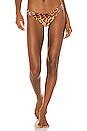 view 1 of 4 Hanna Bikini Bottom in Leopard