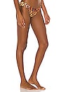 view 2 of 4 Hanna Bikini Bottom in Leopard