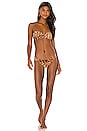 view 4 of 4 Hanna Bikini Bottom in Leopard