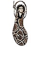 view 4 of 5 SANDALIA EXPOSED in Brown & Black Multi Snake