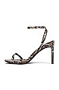 view 5 of 5 SANDALIA EXPOSED in Brown & Black Multi Snake