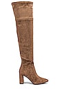 view 1 of 5 Parisah Boot in Taupe Suede