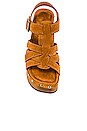 view 4 of 5 Ring-It Platform Sandal in Tan Suede