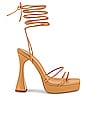 view 1 of 5 Primadonna Sandal in Nude