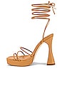 view 5 of 5 Primadonna Sandal in Nude