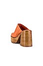 view 3 of 5 Drummer Clog in Orange