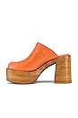 view 5 of 5 Drummer Clog in Orange