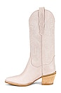 view 5 of 5 BOTTINES DAGGET in Ice Natural Stack