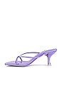 view 5 of 5 MULES FLEXX in Purple