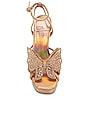 view 4 of 5 Fantasies Platform Sandal in Rose Gold Metallic