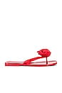 view 1 of 5 So Sweet Sandal in Red