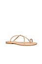 view 2 of 5 Pacifico Sandal in Beige Gold