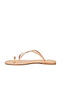 view 5 of 5 Pacifico Sandal in Beige Gold