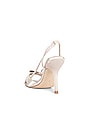 view 3 of 5 Take-A-Bow Sandal in Champagne