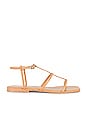 view 1 of 5 Corinth Sandal in Natural